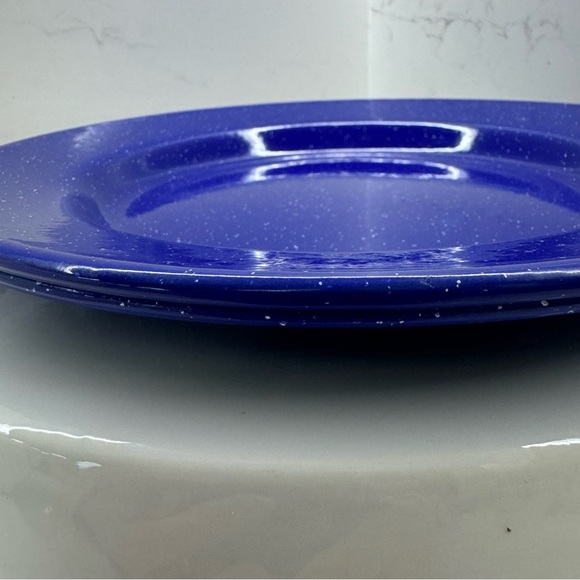 Two blue speckled enamelware 10” plates - Picture 2 of 6